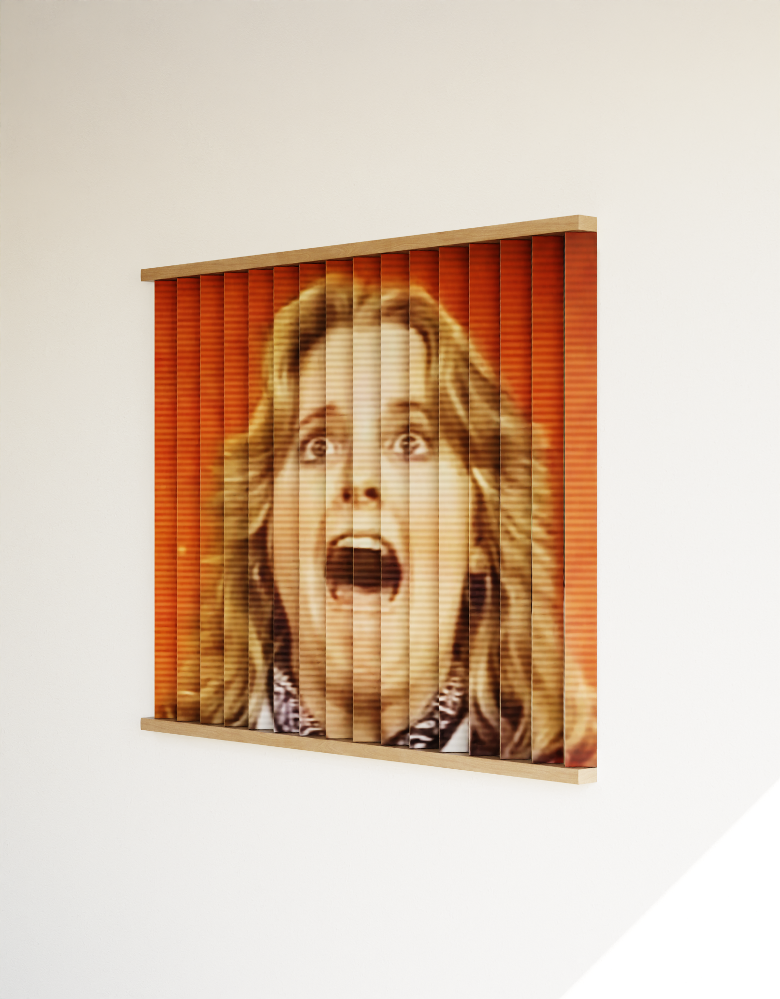Behind Door Number Three: Dianne Lenticular