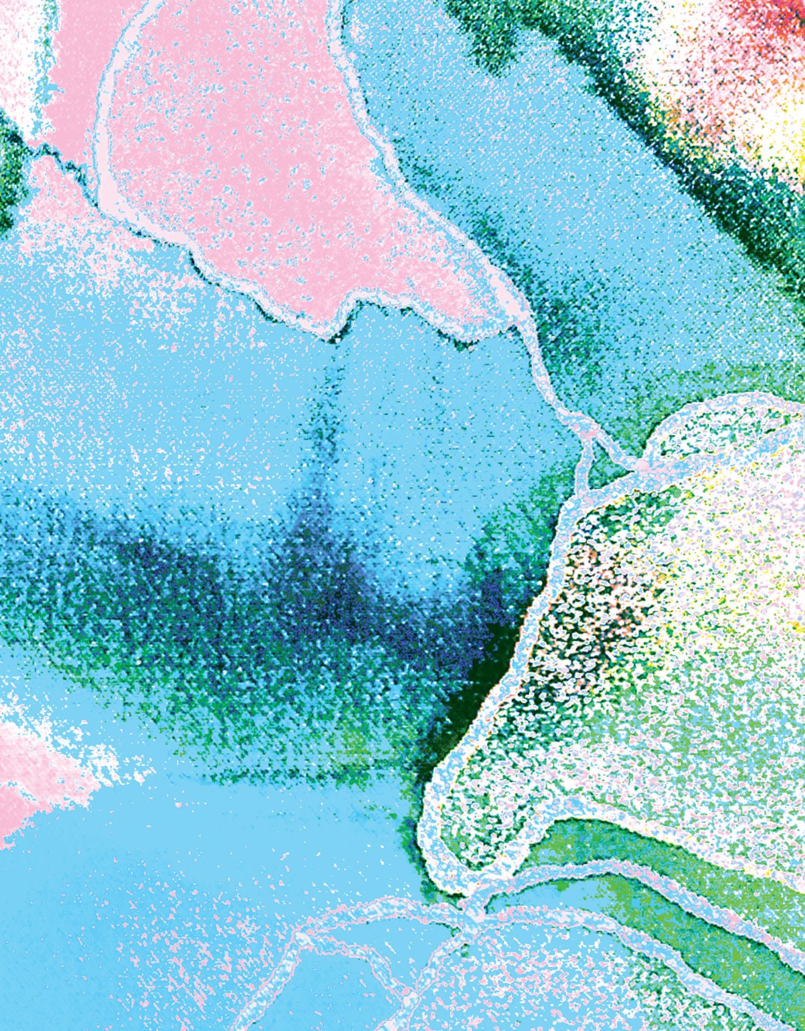 Aurora Wall Panels
