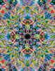 Rosone Jungla N. 2 ~ Surface Skin