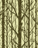 Trees ~ Pattern Wall Tiles